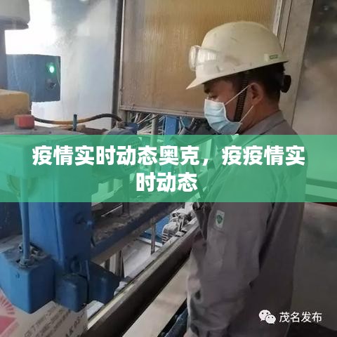 疫情实时动态奥克，疫疫情实时动态 