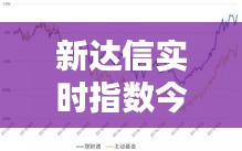新达信实时指数今日净值，新达信实时指数今日净值是多少 