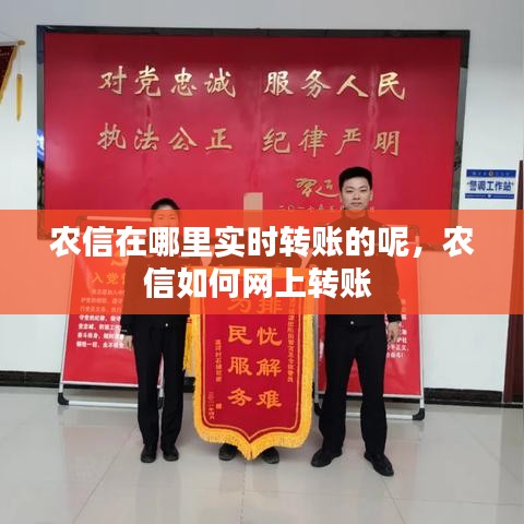 农信在哪里实时转账的呢，农信如何网上转账 
