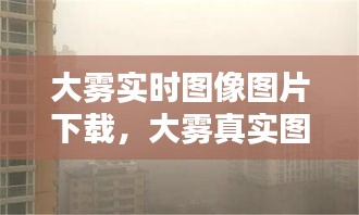 大雾实时图像图片下载，大雾真实图片 