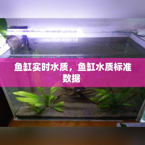 量入为出 第2页