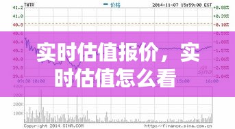 实时估值报价，实时估值怎么看 