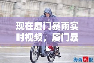 现在厦门暴雨实时视频，厦门暴雨创历史纪录 