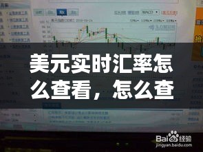 龙飞九五 第2页