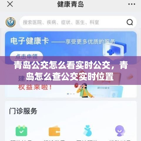 青岛公交怎么看实时公交，青岛怎么查公交实时位置 