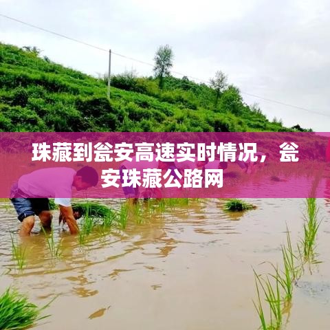 母以子贵 第3页