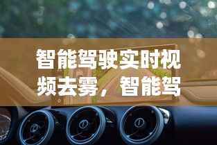 智能驾驶实时视频去雾，智能驾驶摄像头 