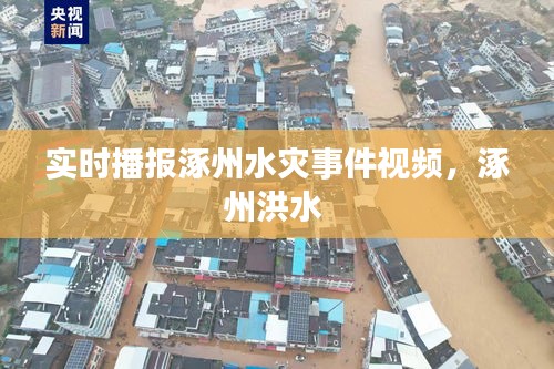 九死一生 第3页