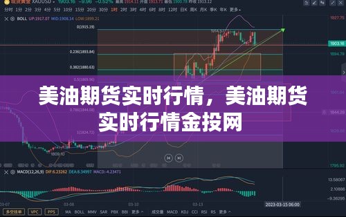 美油期货实时行情，美油期货实时行情金投网 