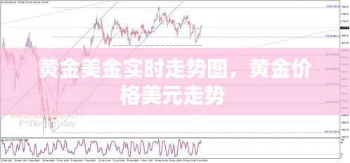 黄金美金实时走势图，黄金价格美元走势 