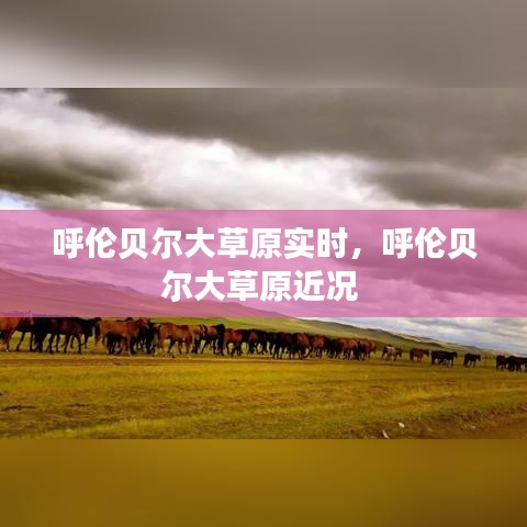 蹑蹻檐簦 第2页