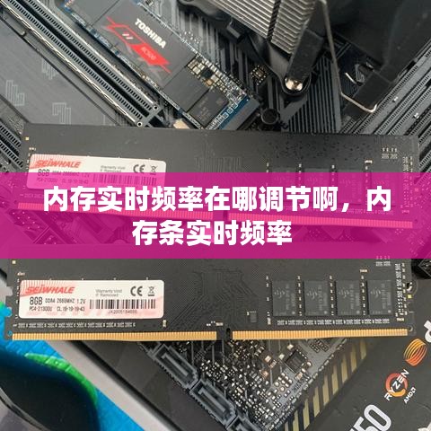 内存实时频率在哪调节啊，内存条实时频率 