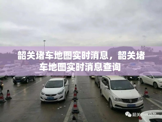 鸟声兽心 第2页