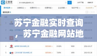 苏宁金融实时查询，苏宁金融网站地址 