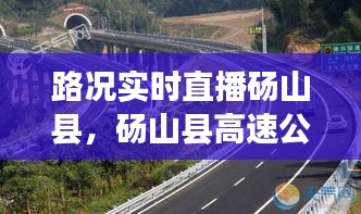 路况实时直播砀山县，砀山县高速公路封闭最新消息 