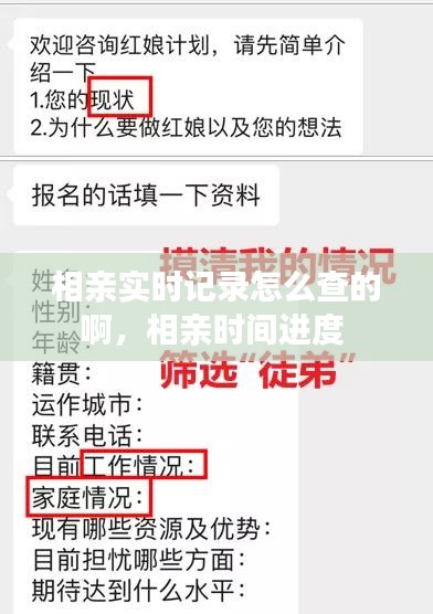 相亲实时记录怎么查的啊，相亲时间进度 