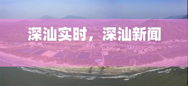 深汕实时，深汕新闻 
