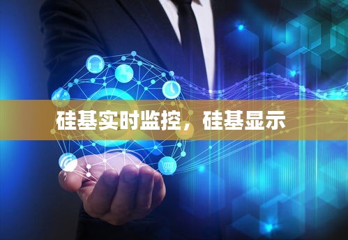 硅基实时监控，硅基显示 