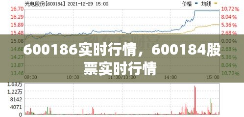 600186实时行情，600184股票实时行情 