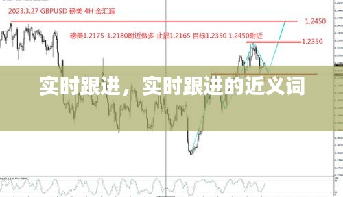 实时跟进，实时跟进的近义词 