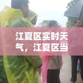 江夏区实时天气，江夏区当前天气 
