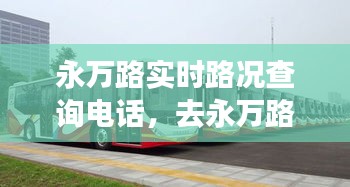 永万路实时路况查询电话，去永万路坐几路公交车 