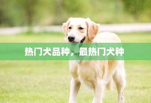 眉目如画 第2页
