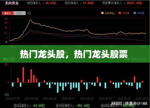 热门龙头股，热门龙头股票 