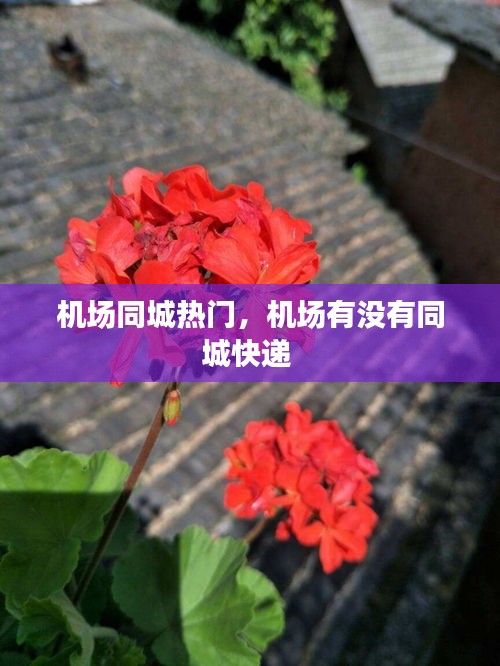 机场同城热门，机场有没有同城快递 