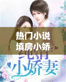 热门小说填房小娇妻，填房小说推荐 