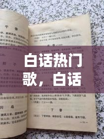 白话热门歌，白话歌曲大全 