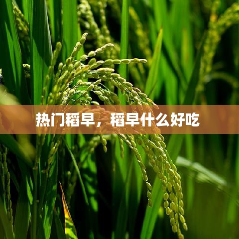 倦鸟思归 第2页