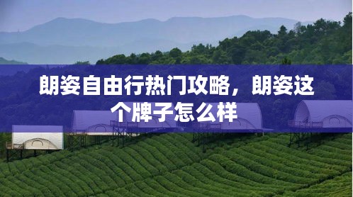 质而不俚 第2页