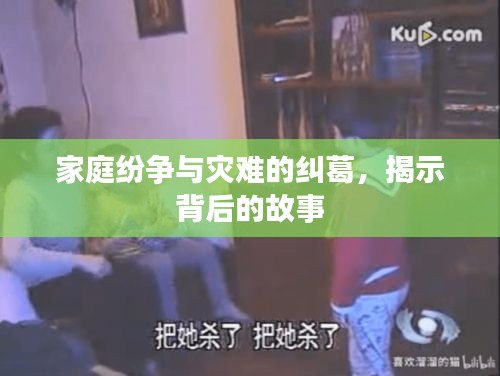 家庭纷争与灾难的纠葛，揭示背后的故事