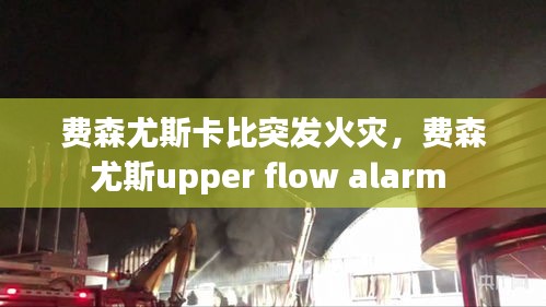 费森尤斯卡比突发火灾，费森尤斯upper flow alarm 