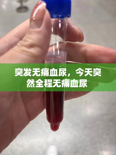 反朴归真 第2页