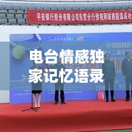 电台情感独家记忆语录，心灵深处的触动瞬间