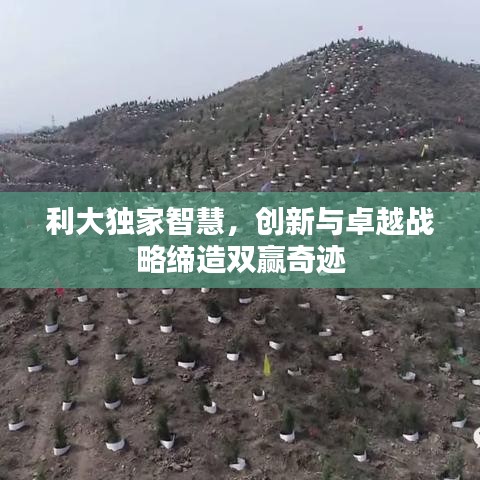 利大独家智慧，创新与卓越战略缔造双赢奇迹
