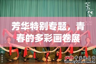 芳华特别专题，青春的多彩画卷展现时光魅力