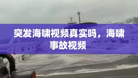 突发海啸视频真实吗，海啸事故视频 