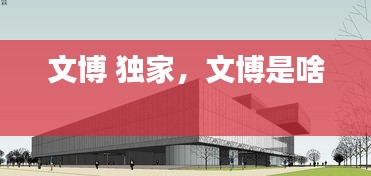文博 独家，文博是啥 