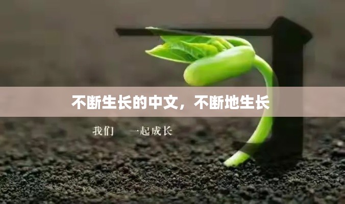 不断生长的中文，不断地生长 