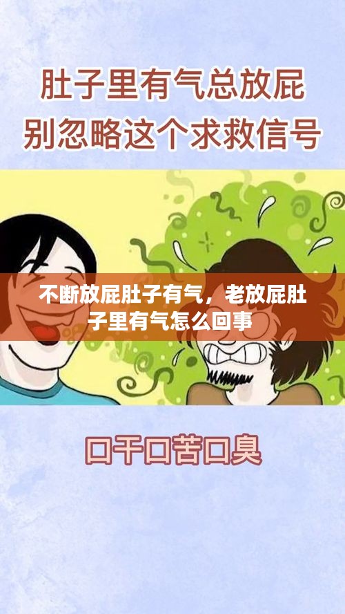 不断放屁肚子有气，老放屁肚子里有气怎么回事 