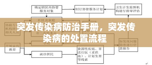 突发传染病防治手册，突发传染病的处置流程 