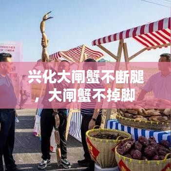 兴化大闸蟹不断腿，大闸蟹不掉脚 