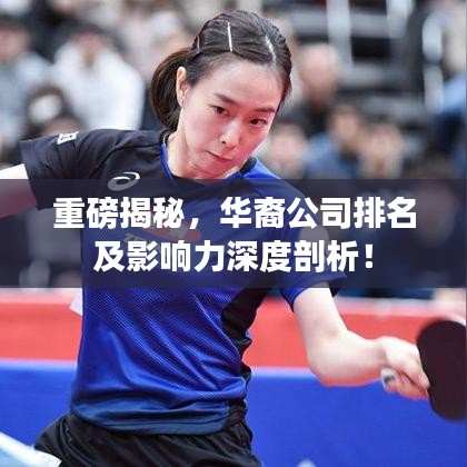 重磅揭秘，华裔公司排名及影响力深度剖析！