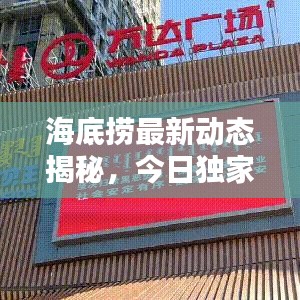 海底捞最新动态揭秘，今日独家消息速递