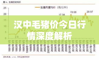 汉中毛猪价今日行情深度解析