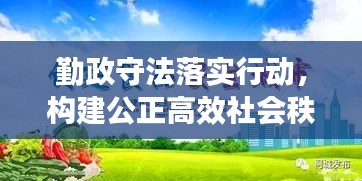 勤政守法落实行动，构建公正高效社会秩序