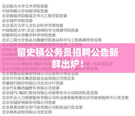 留史镇公务员招聘公告新鲜出炉！